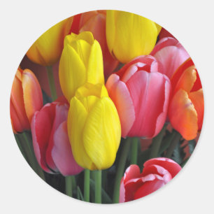 Kleurrijke tulpen bouquet ronde sticker