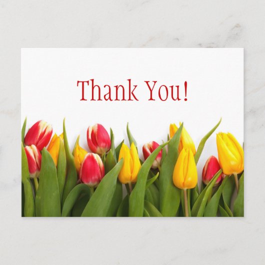 Kleurrijke Tulpen Briefkaart (Voorkant)