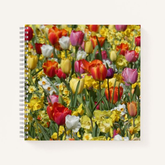Kleurrijke Tulpen & Daffodils Flowers Notitieboek (Voorkant)