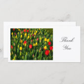 Kleurrijke tulpen - Dank u Bedankkaart (Voorkant / Achterkant)