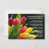 Kleurrijke Tulpen Foto -3x5Wedding Aankondiging (Voorkant)