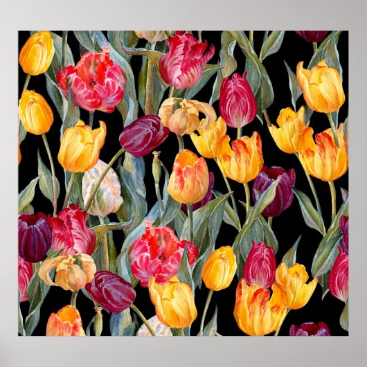 Kleurrijke tulpen, geïsoleerde zwarte achtergrond. poster (Voorkant)