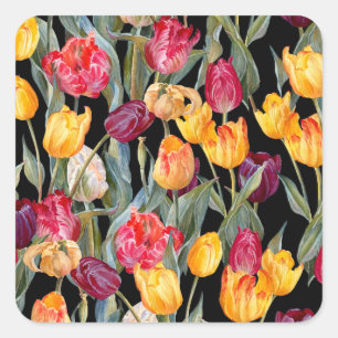 Kleurrijke tulpen, geïsoleerde zwarte achtergrond. vierkante sticker