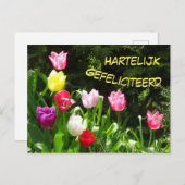Kleurrijke Tulpen Gelukkige Verjaardag Ansichtkaar Briefkaart (Voorkant / Achterkant)