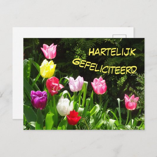 Kleurrijke Tulpen Gelukkige Verjaardag Ansichtkaar Briefkaart (Voorkant / Achterkant)