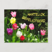 Kleurrijke Tulpen Gelukkige Verjaardag Ansichtkaar Briefkaart (Voorkant)