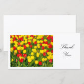Kleurrijke Tulpen II - Dank je wel Bedankkaart (Voorkant / Achterkant)