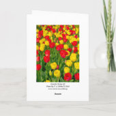 Kleurrijke Tulpen III - Verticaal Kaart (Achterkant)