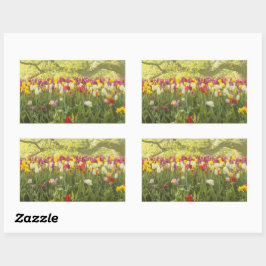 Kleurrijke tulpen in een park 2 rechthoekige sticker