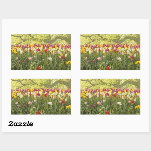 Kleurrijke tulpen in een park 2 rechthoekige sticker (Vel)