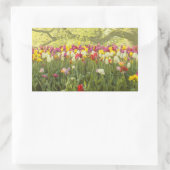 Kleurrijke tulpen in een park 2 rechthoekige sticker (Tas)