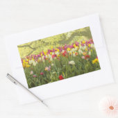 Kleurrijke tulpen in een park 2 rechthoekige sticker (Envelop)