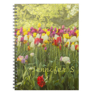 Kleurrijke tulpen in een park gepersonaliseerd notitieboek