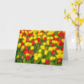 Kleurrijke Tulpen IV Kaart (Gele Bloem)