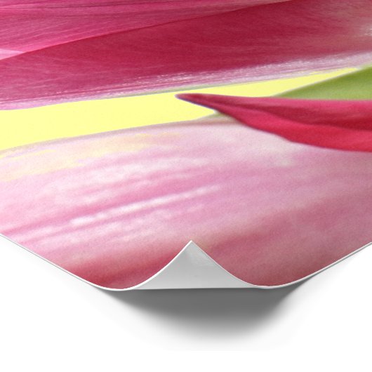 Kleurrijke Tulpen met prijsopgave Poster (Hoek)