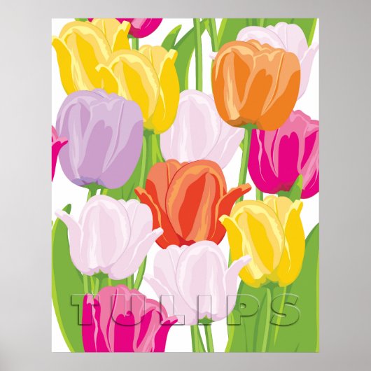 Kleurrijke Tulpen Poster (Voorkant)