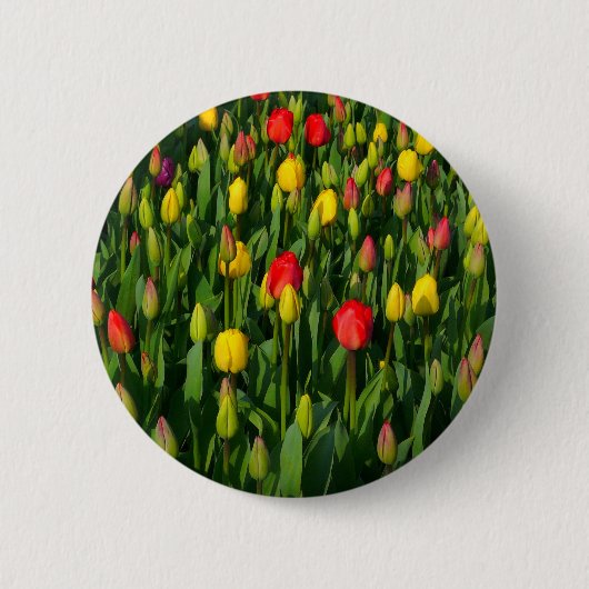 Kleurrijke Tulpen Ronde Button 5,7 Cm (Voorkant)