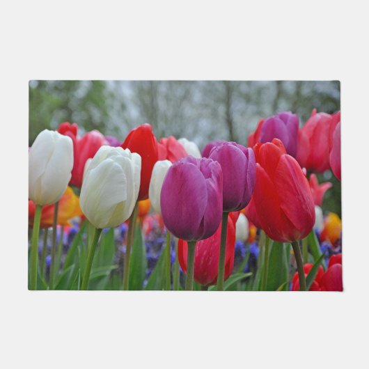Kleurrijke tulpen schoonheid deurmat (Voorkant)