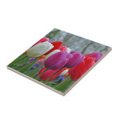 Kleurrijke tulpen schoonheid tegeltje (Zijkant)