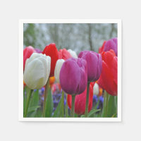 Kleurrijke tulpen schoonheidssticker