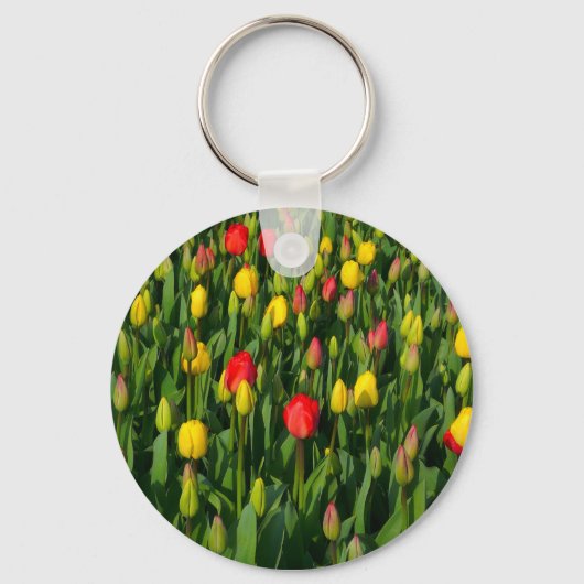 Kleurrijke Tulpen Sleutelhanger (Voorkant)