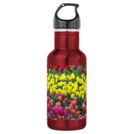 Kleurrijke Tulpen Tuin Bloemen Waterfles