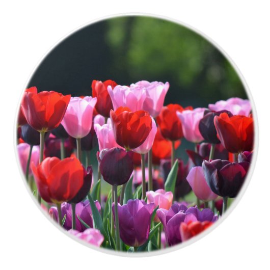 Kleurrijke Tulps Dresser Knob Keramische Knop (Voorkant)