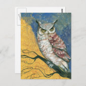 kleurrijke uil briefkaart (Voorkant / Achterkant)