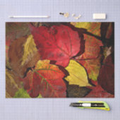 Kleurrijke val bladeren tissuepapier (Craft)