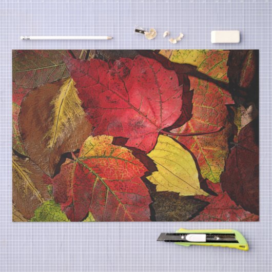 Kleurrijke val bladeren tissuepapier (Craft)