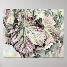 Kleurrijke valbladeren met valkleuren tekening