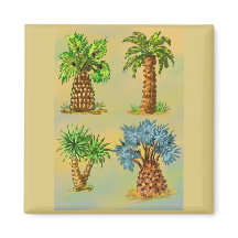 Kleurrijke variëteiten palmbomen.