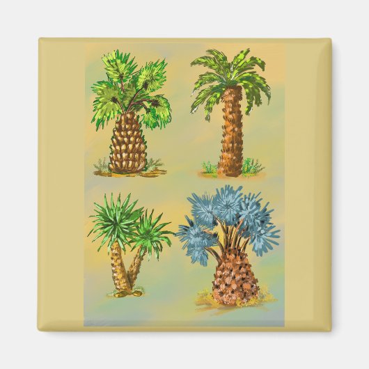 Kleurrijke variëteiten palmbomen. magneet (Voorkant)