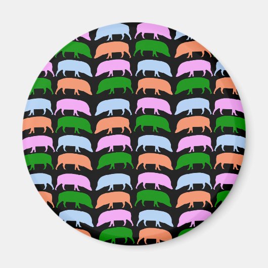 Kleurrijke Varkens Magneet (Voorkant)