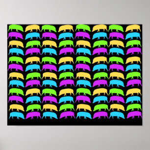 Kleurrijke Varkens Poster