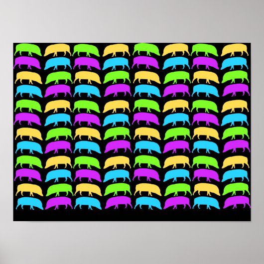 Kleurrijke Varkens Poster (Voorkant)
