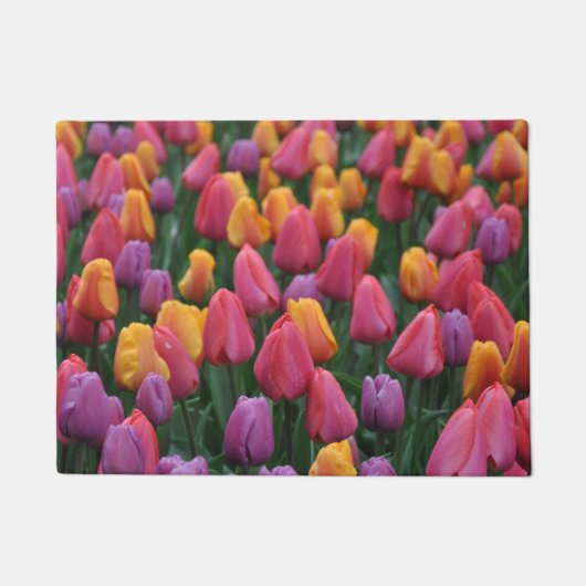 Kleurrijke veertulpen deurmat (Voorkant)