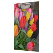 Kleurrijke veertulpen klembord (Links)