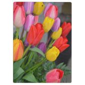 Kleurrijke veertulpen klembord (Achterkant)