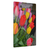 Kleurrijke veertulpen klembord (Rechts)