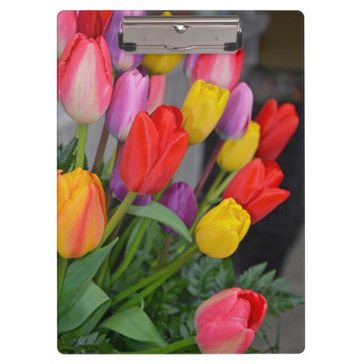 Kleurrijke veertulpen klembord (Voorkant)