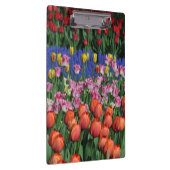 Kleurrijke veertulpen klembord (Rechts)