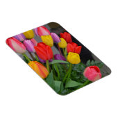 Kleurrijke veertulpen magneet (Rechterzijde)