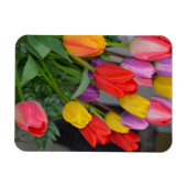 Kleurrijke veertulpen magneet (Horizontaal)