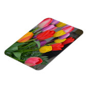 Kleurrijke veertulpen magneet (Linkerzijde)