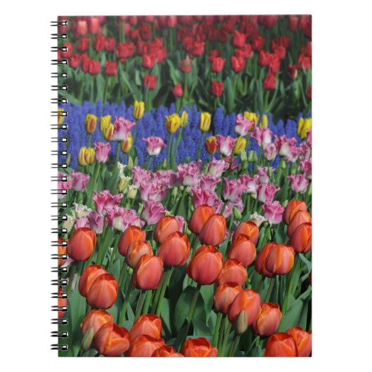 Kleurrijke veertulpen notitieboek (Voorkant)