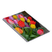 Kleurrijke veertulpen notitieboek (Rechterzijde)