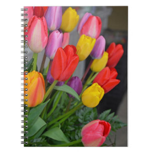 Kleurrijke veertulpen notitieboek