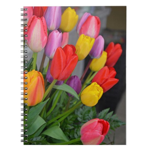 Kleurrijke veertulpen notitieboek (Voorkant)