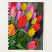 Kleurrijke veertulpen planner (Voorkant)